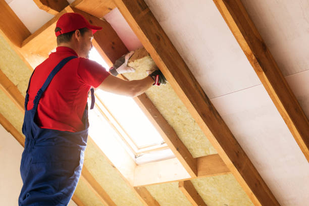 Best Insulation Air Sealing  in Charlotte, NC